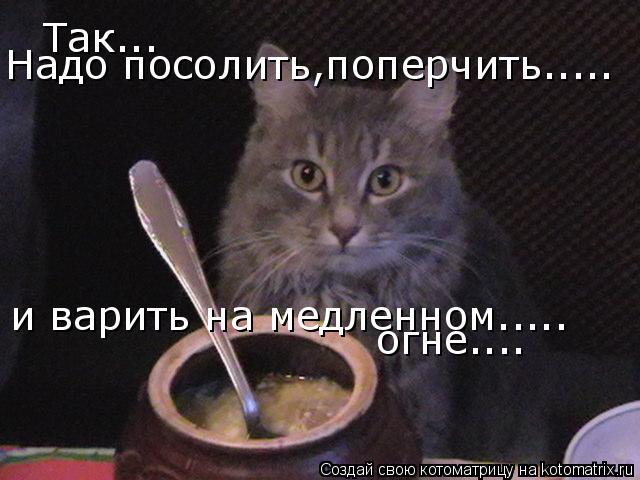 Так... Надо посолить,поперчить..... и варить на медленном..... огне....... Котоматрица: Так... Надо посолить,поперчить..... и варить на медленном..... огне....