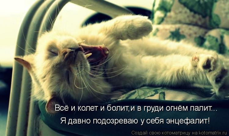 Всё и колет и болит,и в груди огнём палит... Я давно подозреваю у себя энцефалит!... Котоматрица: Всё и колет и болит,и в груди огнём палит... Я давно подозреваю у себя энцефалит!