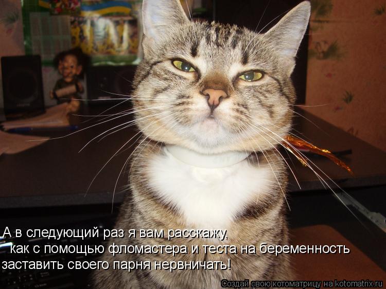 А в следующий раз я вам расскажу, как с помощью фломастера и теста на беременность заставить своего п... Котоматрица: А в следующий раз я вам расскажу, как с помощью фломастера и теста на беременность заставить своего парня нервничать!