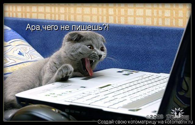 Ара,чего не пишешь?!... Котоматрица: Ара,чего не пишешь?!
