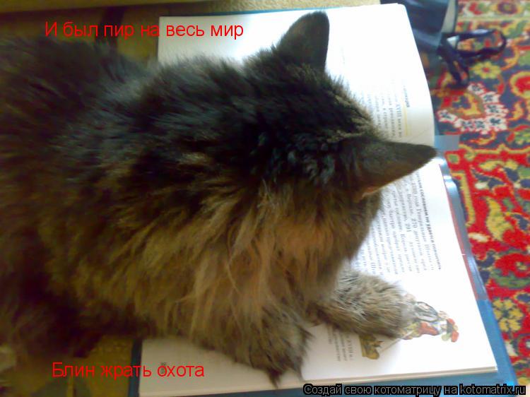 И был пир на весь мир Блин жрать охота... Котоматрица: И был пир на весь мир Блин жрать охота