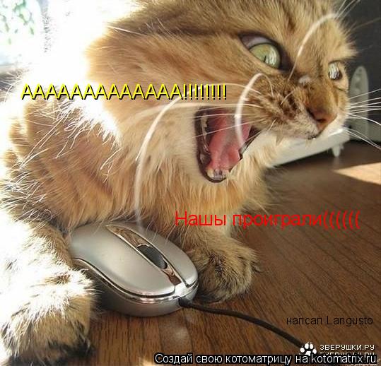 ААААААААААААА!!!!!!!! Нашы проиграли(((((( напсал Langusto... Котоматрица: ААААААААААААА!!!!!!!! Нашы проиграли(((((( напсал Langusto