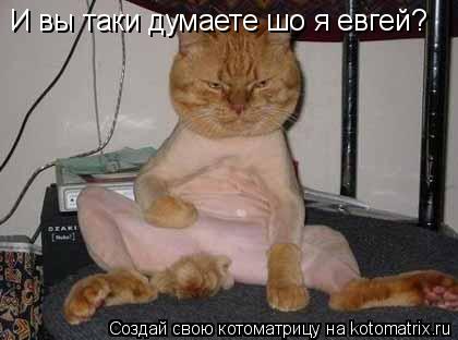 И вы таки думаете шо я евгей?... Котоматрица: И вы таки думаете шо я евгей?