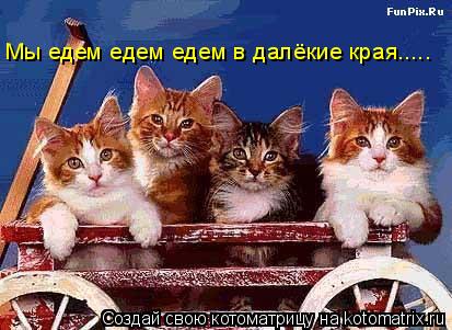 Мы едем едем едем в далёкие края........ Котоматрица: Мы едем едем едем в далёкие края.....
