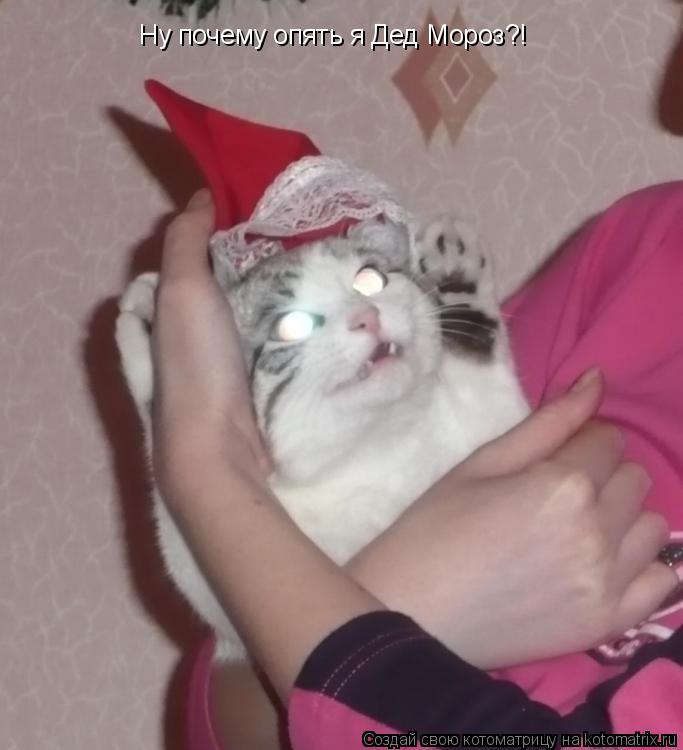 Ну почему опять я Дед Мороз?!... Котоматрица: Ну почему опять я Дед Мороз?!