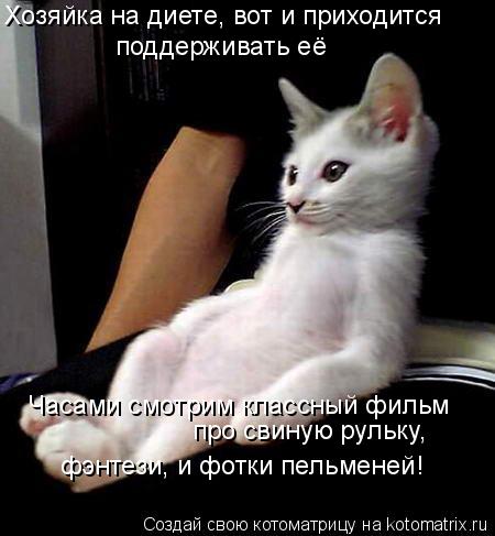 Хозяйка на диете, вот и приходится поддерживать её Часами смотрим классный фильм про свиную рульк... Котоматрица: Хозяйка на диете, вот и приходится поддерживать её Часами смотрим классный фильм про свиную рульку, фэнтези, и фотки пельменей!