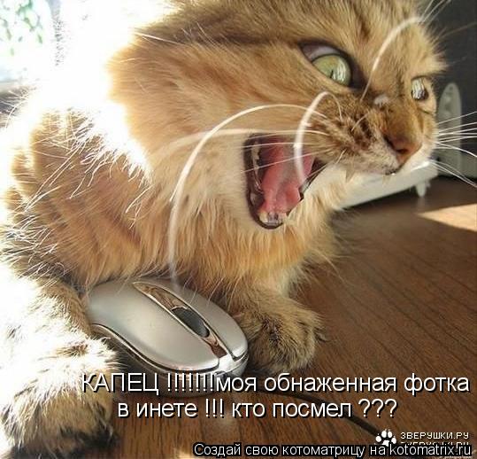 КАПЕЦ !!!!!!!моя обнаженная фотка в инете !!! кто посмел ???... Котоматрица: КАПЕЦ !!!!!!!моя обнаженная фотка в инете !!! кто посмел ???