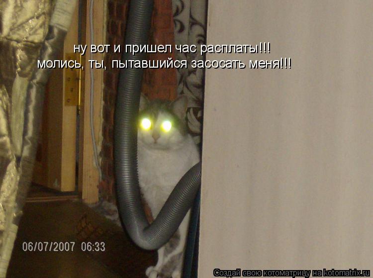 ну вот и пришел час расплаты!!! молись, ты, пытавшийся засосать меня!!!... Котоматрица: ну вот и пришел час расплаты!!! молись, ты, пытавшийся засосать меня!!!