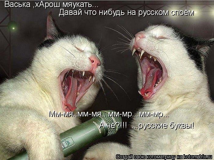Васька ,хАрош мяукать... Давай что нибудь на русском споём Мм-мя..мм-мя...мм-мр...мм-мр... А чё?!!! ... Котоматрица: Васька ,хАрош мяукать... Давай что нибудь на русском споём Мм-мя..мм-мя...мм-мр...мм-мр... А чё?!!! ...русские буквы!