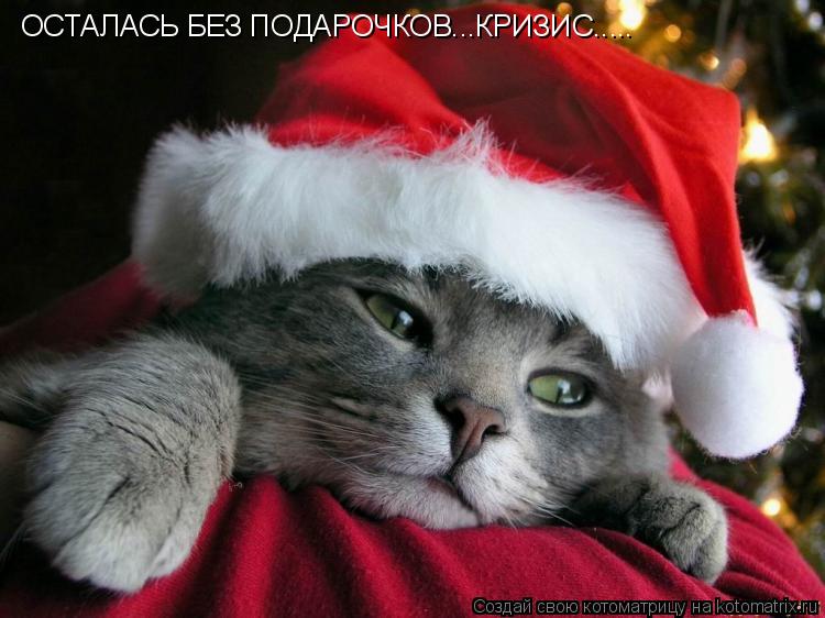 ОСТАЛАСЬ БЕЗ ПОДАРОЧКОВ...КРИЗИС........ Котоматрица: ОСТАЛАСЬ БЕЗ ПОДАРОЧКОВ...КРИЗИС.....