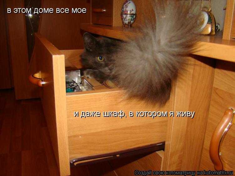 в этом доме все мое и даже шкаф, в котором я живу... Котоматрица: в этом доме все мое и даже шкаф, в котором я живу