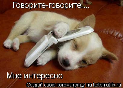 Котоматрица: Говорите-говорите.... Мне интересно