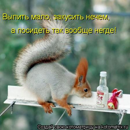 Выпить мало, закусить нечем, а посидеть так вообще негде!... Котоматрица: Выпить мало, закусить нечем, а посидеть так вообще негде!