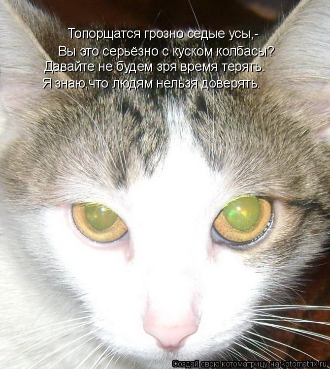 Вы это серьёзно с куском колбасы? Топорщатся грозно седые усы,- Давайте не будем зря время терять. Я ... Котоматрица: Вы это серьёзно с куском колбасы? Топорщатся грозно седые усы,- Давайте не будем зря время терять. Я знаю,что людям нельзя доверять.