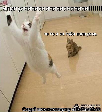 алилуяяяяяяяяяяяяяяяяяяя!!!!!!!!!!!!!!!!!!!!! че то я за тебя волнуюсь... Котоматрица: алилуяяяяяяяяяяяяяяяяяяя!!!!!!!!!!!!!!!!!!!!! че то я за тебя волнуюсь