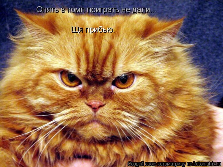 Опять в комп поиграть не дали... Щя прибью.... Котоматрица: Опять в комп поиграть не дали... Щя прибью.