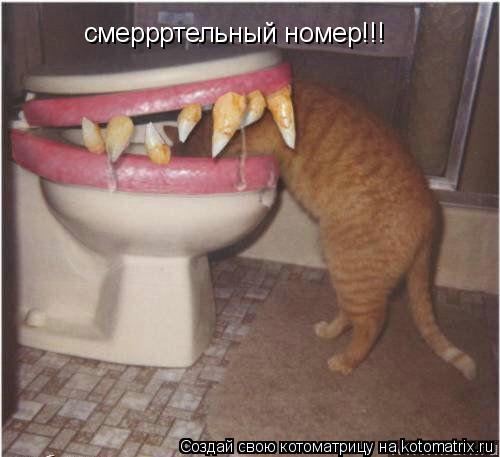 смеррртельный номер!!!... Котоматрица: смеррртельный номер!!!