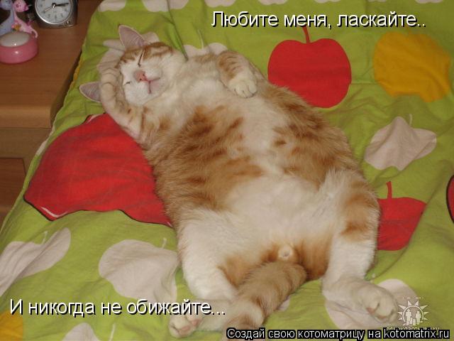 Любите меня, ласкайте.. И никогда не обижайте...... Котоматрица: Любите меня, ласкайте.. И никогда не обижайте...