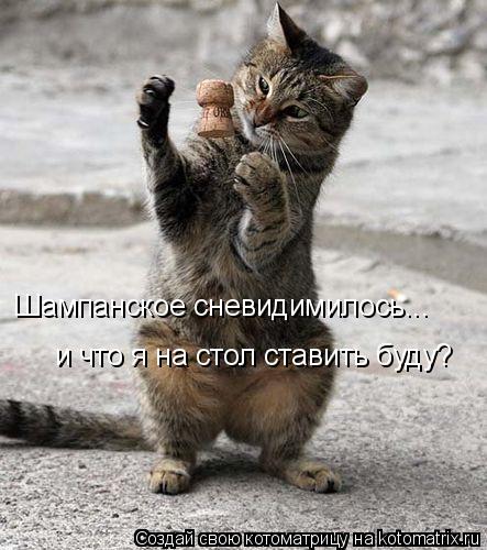 Шампанское сневидимилось... и что я на стол ставить буду?... Котоматрица: Шампанское сневидимилось... и что я на стол ставить буду?