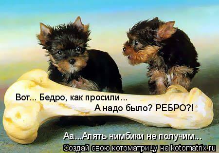 Вот... Бедро, как просили... А надо было? РЕБРО?! Аа...Апять нимбики не получим...... Котоматрица: Вот... Бедро, как просили... А надо было? РЕБРО?! Аа...Апять нимбики не получим...