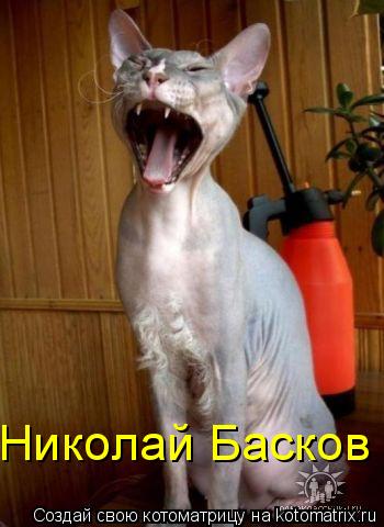 Николай Басков... Котоматрица: Николай Басков