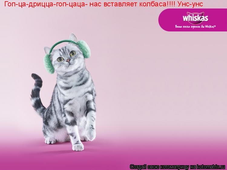 Котоматрица: Гоп-ца-дрицца-гоп-цаца- нас вставляет колбаса!!!! Унс-унс