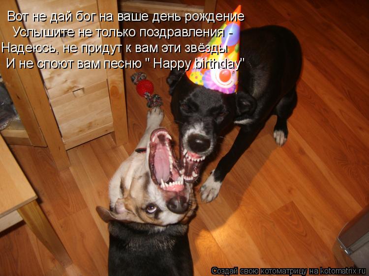 Вот не дай бог на ваше день рождение Услышите не только поздравления - Надеюсь, не придут к вам эти ... Котоматрица: Вот не дай бог на ваше день рождение Услышите не только поздравления - Надеюсь, не придут к вам эти звёзды И не споют вам песню " Happy birthday" И н