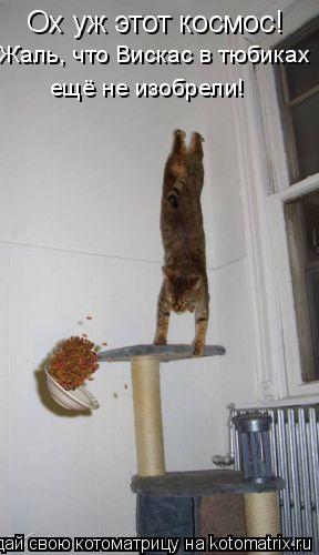 Ох уж этот космос! Жаль, что Вискас в тюбиках ещё не изобрели!... Котоматрица: Ох уж этот космос! Жаль, что Вискас в тюбиках ещё не изобрели!