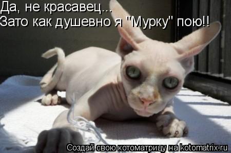 Зато как душевно я "Мурку" пою!! Да, не красавец...... Котоматрица: Зато как душевно я "Мурку" пою!! Да, не красавец...