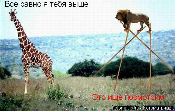 Котоматрица: Все равно я тебя выше Это ище посмотрим