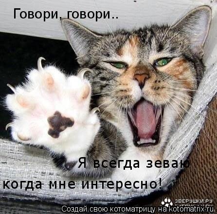 Говори, говори.. Я всегда зеваю когда мне интересно!... Котоматрица: Говори, говори.. Я всегда зеваю когда мне интересно!