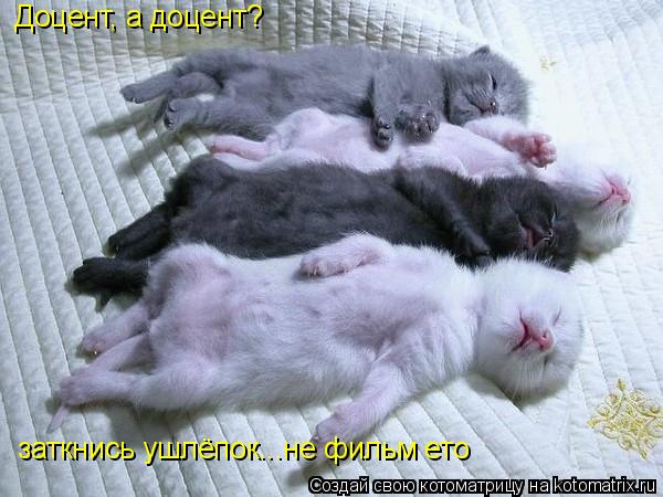 Доцент, а доцент? заткнись ушлёпок...не фильм ето... Котоматрица: Доцент, а доцент? заткнись ушлёпок...не фильм ето