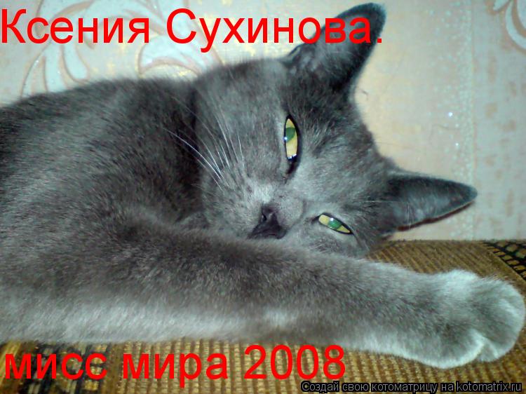 Ксения Сухинова. мисс мира 2008... Котоматрица: Ксения Сухинова. мисс мира 2008