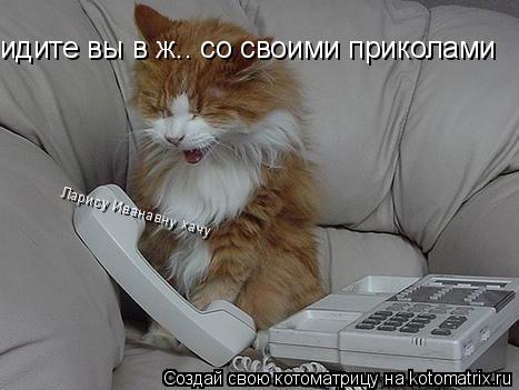 Ларису Иванавну хачу идите вы в ж.. со своими приколами... Котоматрица: Ларису Иванавну хачу идите вы в ж.. со своими приколами