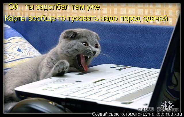Эй , ты задолбал там уже.. Карты вообще то тусовать надо перед сдачей..... Котоматрица: Эй , ты задолбал там уже.. Карты вообще то тусовать надо перед сдачей..