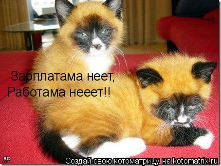 Зарплатама неет, Работама нееет!!... Котоматрица: Зарплатама неет, Работама нееет!!
