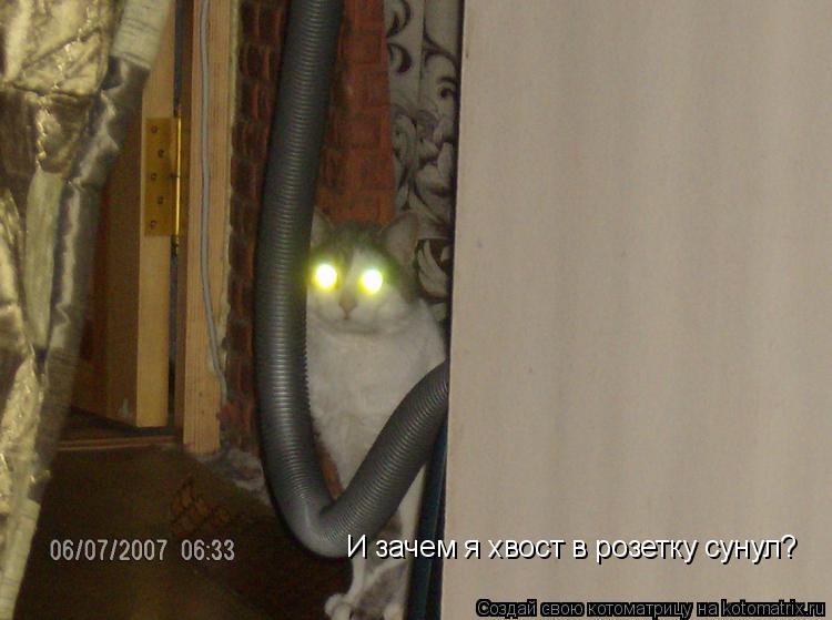 И зачем я хвост в розетку сунул?... Котоматрица: И зачем я хвост в розетку сунул?