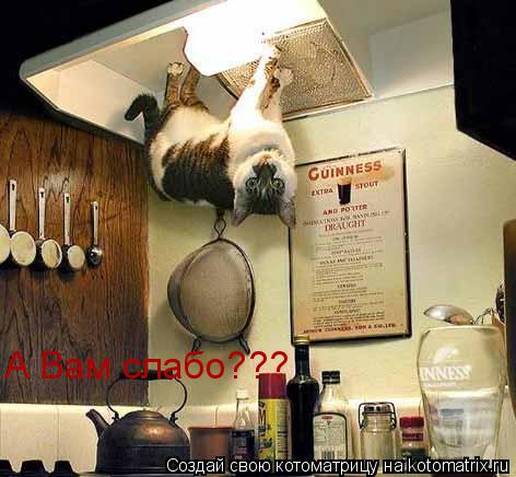 А Вам слабо???... Котоматрица: А Вам слабо???