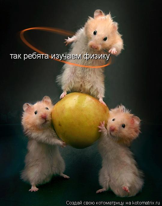 так ребята изучаем физику... Котоматрица: так ребята изучаем физику