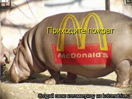 Приходите пожрат... Котоматрица: Приходите пожрат