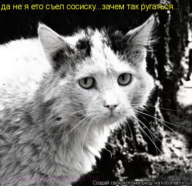да не я ето съел сосиску...зачем так ругаться...... Котоматрица: да не я ето съел сосиску...зачем так ругаться...