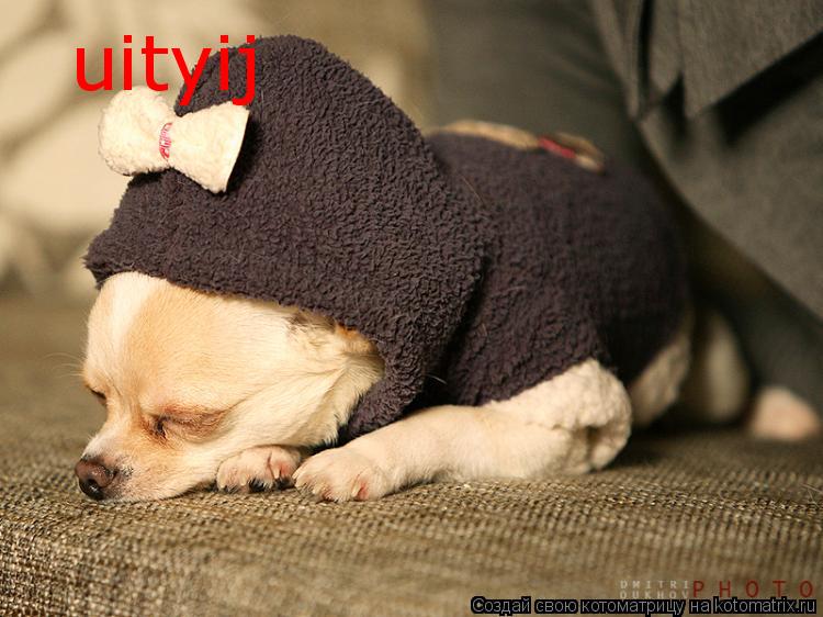 uityij... Котоматрица: uityij
