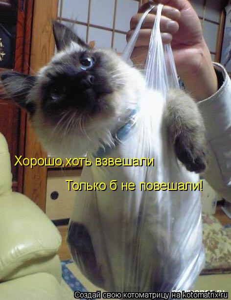 Хорошо,хоть взвешали Только б не повешали!... Котоматрица: Хорошо,хоть взвешали Только б не повешали!