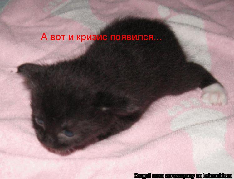 А вот и кризис появился...... Котоматрица: А вот и кризис появился...