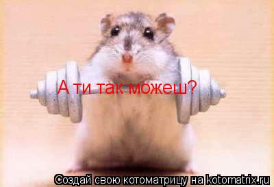 A ти так можеш?... Котоматрица: A ти так можеш?
