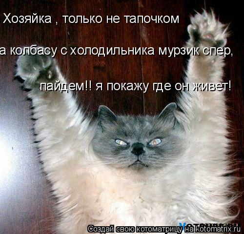 Хозяйка , только не тапочком а колбасу с холодильника мурзик спер, пайдем!! я покажу где он живет!... Котоматрица: Хозяйка , только не тапочком а колбасу с холодильника мурзик спер, пайдем!! я покажу где он живет!