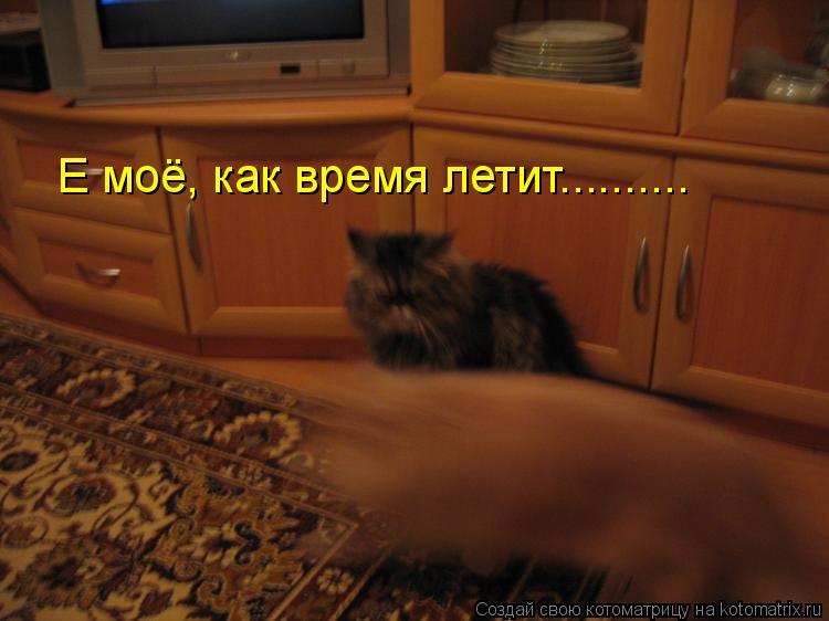 Е моё, как время летит............. Котоматрица: Е моё, как время летит..........