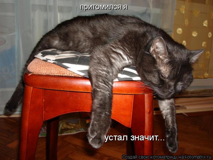 притомился я устал значит...... Котоматрица: притомился я устал значит...