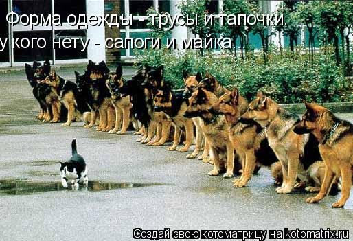 Форма одежды - трусы и тапочки, у кого нету - сапоги и майка...... Котоматрица: Форма одежды - трусы и тапочки, у кого нету - сапоги и майка...