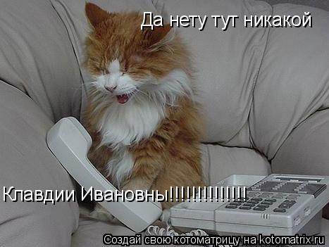 Да нету тут никакой Клавдии Ивановны!!!!!!!!!!!!!!... Котоматрица: Да нету тут никакой Клавдии Ивановны!!!!!!!!!!!!!!
